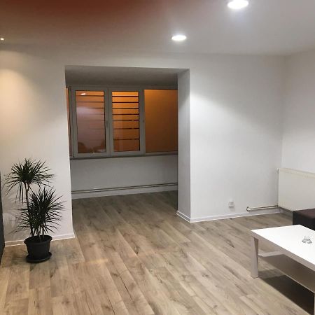 Apartment City Center Piteşti Kültér fotó